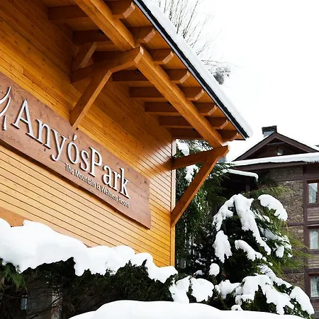 Appart hôtel Anyospark Mountain & Wellness La Massana